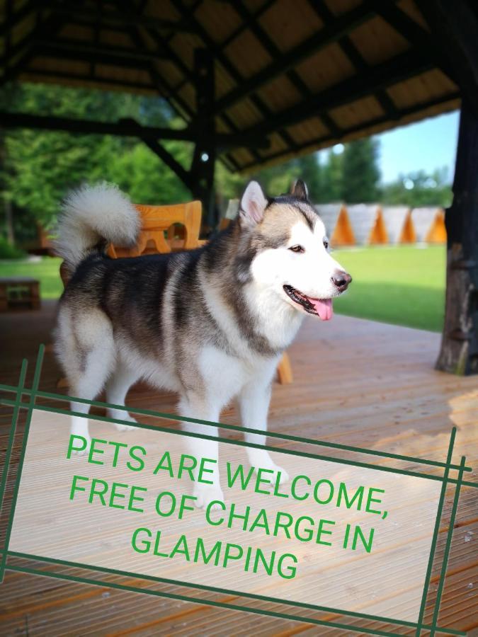 Glamping Forest Edge Kamnik Εξωτερικό φωτογραφία