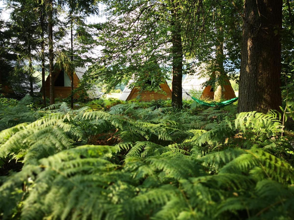 Glamping Forest Edge Kamnik Εξωτερικό φωτογραφία