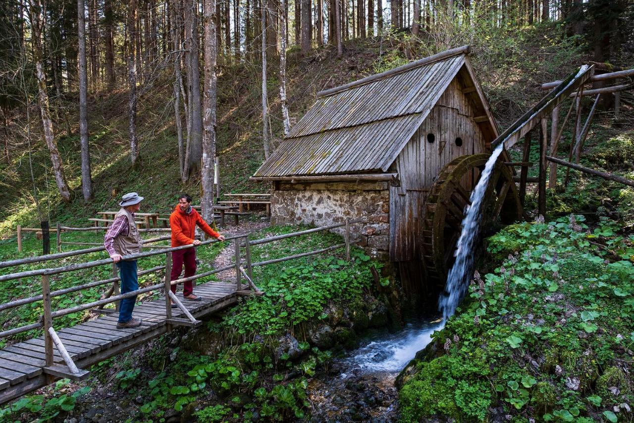 Glamping Forest Edge Kamnik Εξωτερικό φωτογραφία