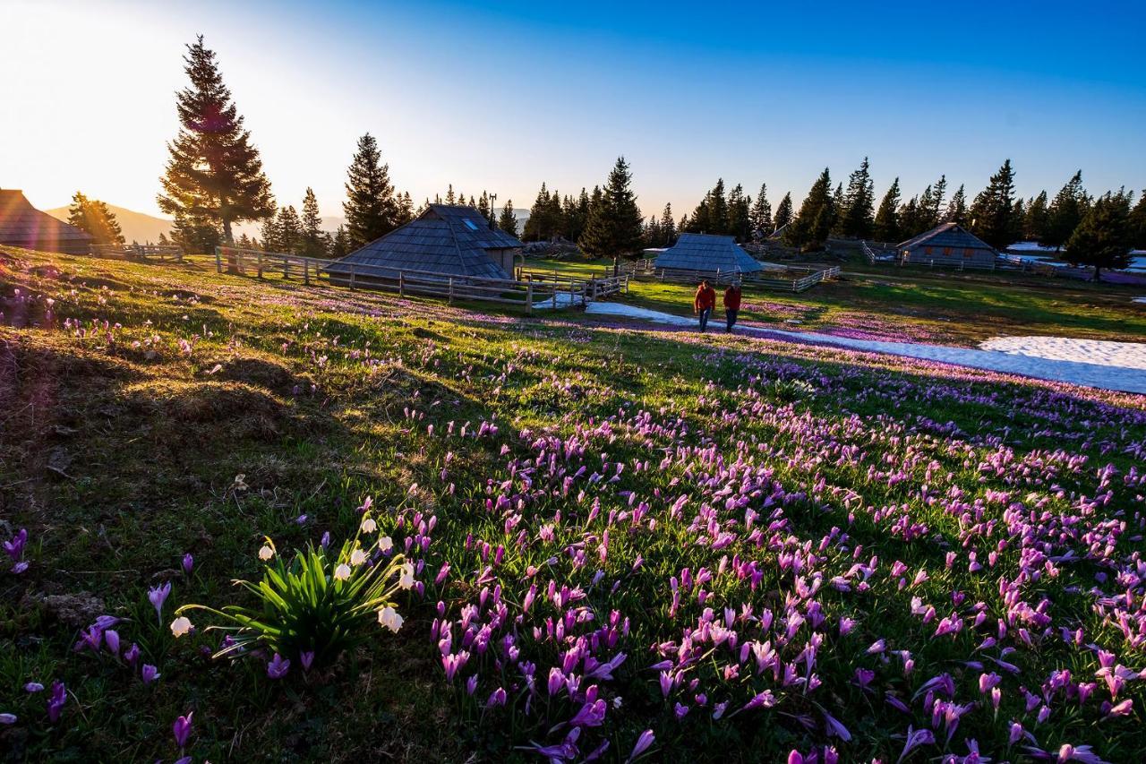 Glamping Forest Edge Kamnik Εξωτερικό φωτογραφία